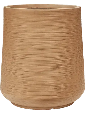 Dune - Darcy - Brown Beige - 55 cm