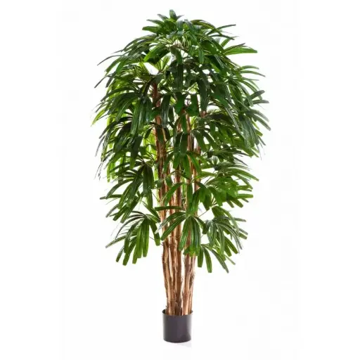 Raphis kunstpalm 150 cm - FR
