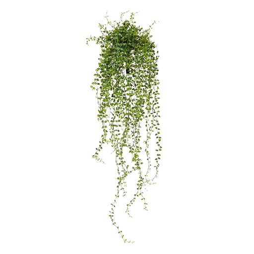 [1-203807UV] Callisia kunst hangplant 70cm - UV bestendig