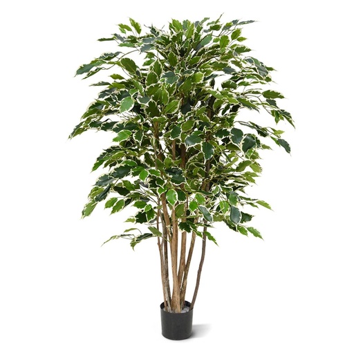 [1-112412] Ficus Exotica deluxe kunstplant 125cm - bont