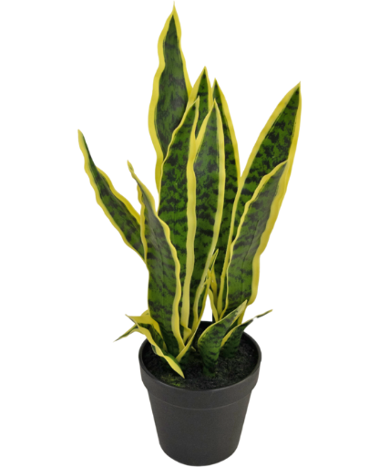 Kunstplant Sansevieria Laurentii 44 cm