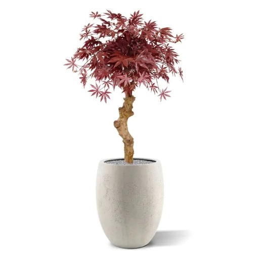 [1-153308] Acer Bonsai kunstboom op stam 85cm - burgundy