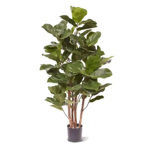 [1-102610] Royal Lyrata kunstplant 105 cm