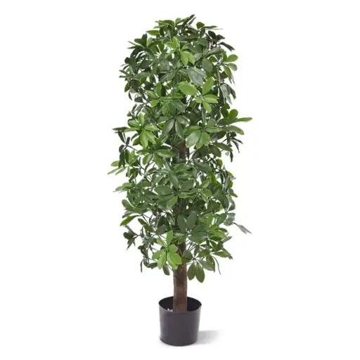 [1-130212UV] Schefflera kolom kunstboom 120cm - UV bestendig