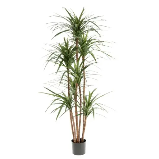[1-404816] Draceana Marginata Kunstplant Deluxe 160cm