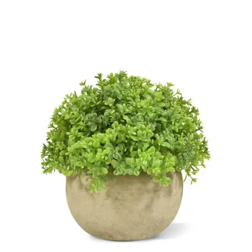 [1-441201] Mini Buxus kunstplant in pot 14cm - groen