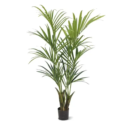 [1-175015] Kentia deluxe kunstpalm 165cm