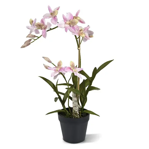 [1-443405RS] Spider kunst Orchidee 50cm - rose