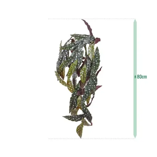Begonia Maculata kunst hangplant 80cm