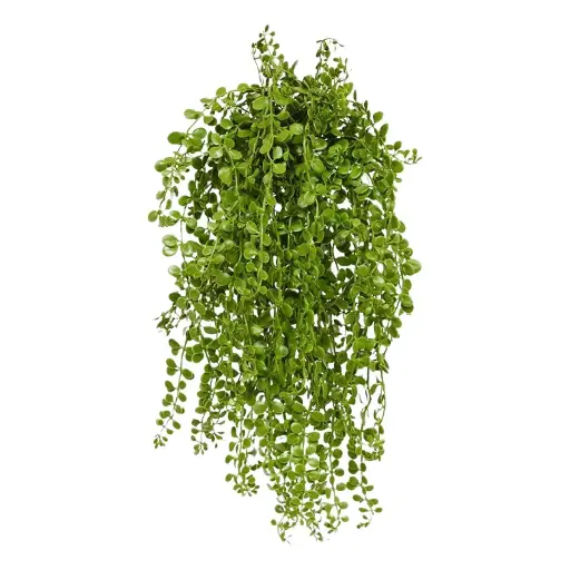 [1-203904UV] Dischidia kunst hangplant 40cm - UV bestendig