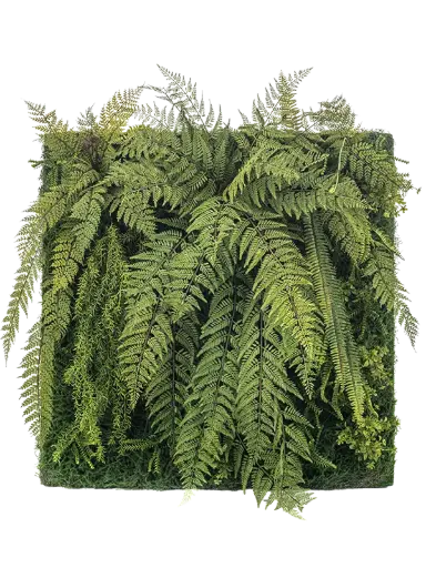 [3-8EE433955] Greenwall luxe varen 100x100cm