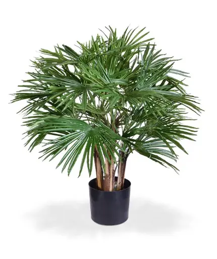 Baby Fan Kunstpalm 70 cm