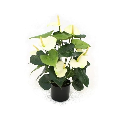 [1-405105CR] Anthurium deluxe kunstplant 50cm - creme
