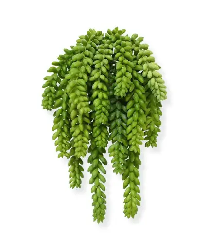 [1-401802] Sedum Donkey tail kunstplant 30cm