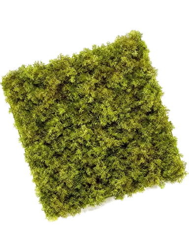 Rendier kunst Mosmat 50x50cm - groenmix