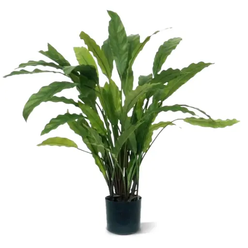 [1-152206] Calathea kunstplant 60cm - groen