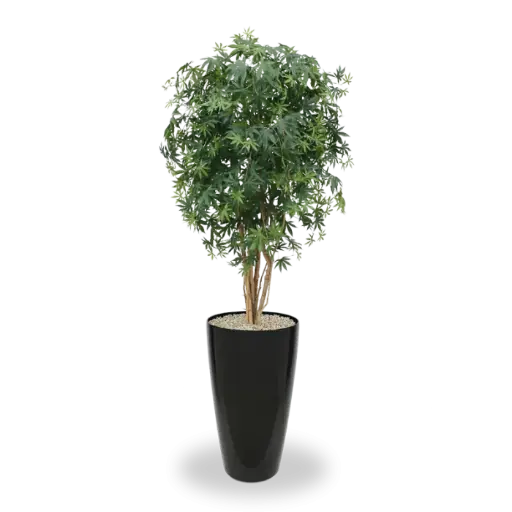 [1-153216] Acer kunstplant 160cm - groen