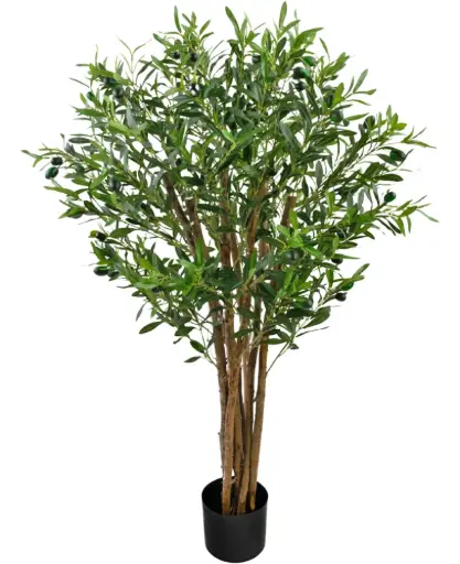 Olijf boom 120 cm - UV bestendig