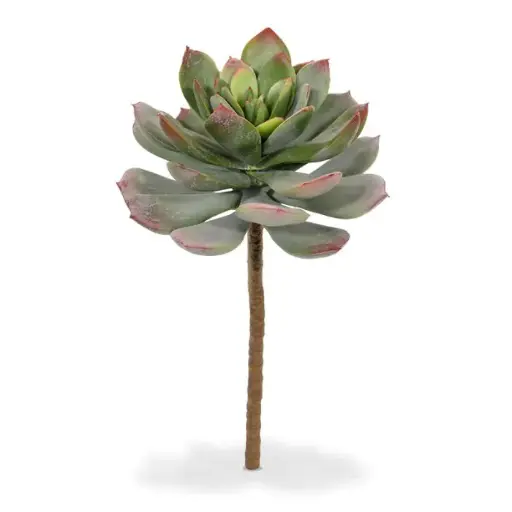 [1-409602] Echeveria kunstplant 25cm - groen/rood