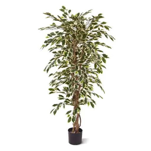 Ficus Hawai kunstboom 150cm