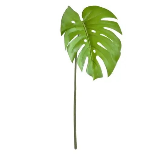 [1-517206] Monstera Blad 65cm groen