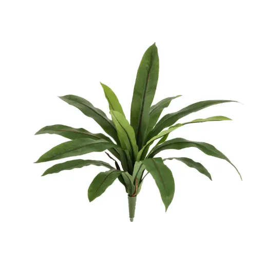 Asplenium Antiquum Kunstvaren 40cm