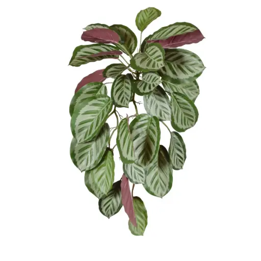 [1-206706] Calathea red Roseopicta kunst hangplant 70cm