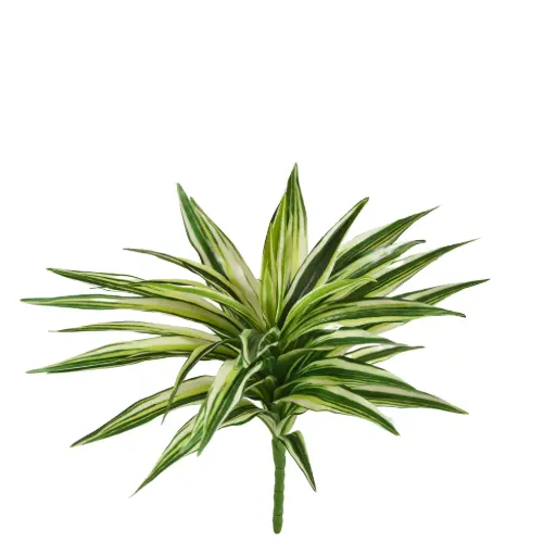 [1-446203] Draceana Kunstplant Bont 30cm