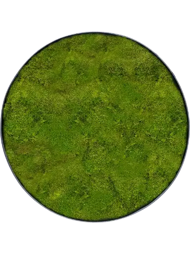 Mosschilderij Platmos - Antraciet frame - 30 cm