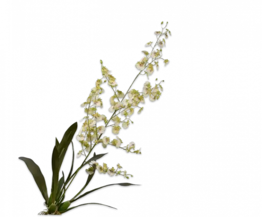 Orchidee tak licht leeg - 116 cm