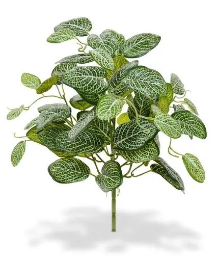 [1-408904] Fittonia kunstplant 40cm - bont