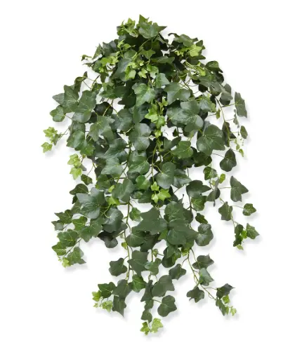 [1-205207] Hedera Gala kunst hangplant 75cm - groen
