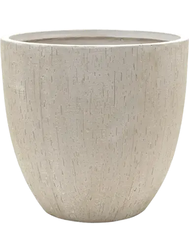 [3-6RDPBE229] Raindrop - Couple - Beige - 51 cm