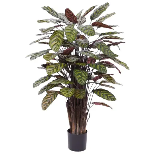 [1-443511] Red Calathea Makoyana kunstplant Deluxe 115cm