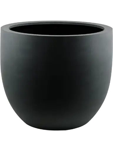 [3-6DLIAB108] Argento - New Egg - Black - 38 cm