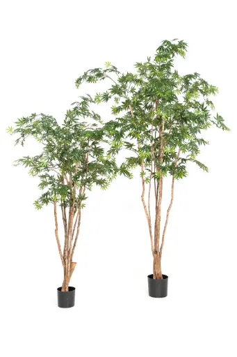 [7-28408N] Natural Maple Wild Trunk - groen - 240 cm