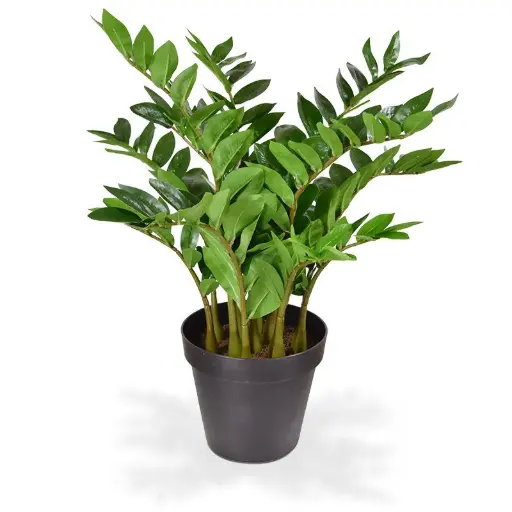 [1-141107] Zamioculcas kunstplant 70cm