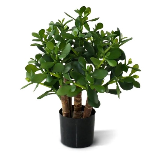[1-403303] Crassula kunst vetplant 40cm